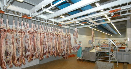 Дезинсекция на мясокомбинате в Павловском Посаде, цены на услуги