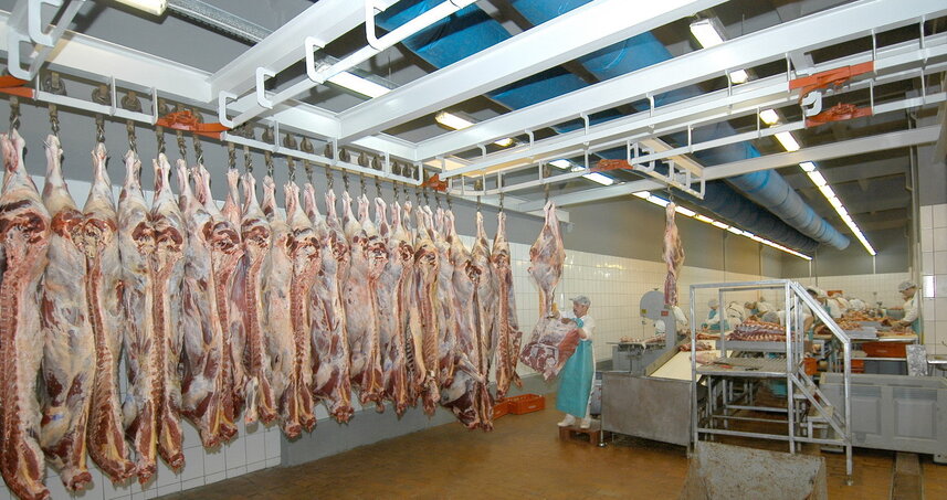 Дезинсекция на мясокомбинате в Павловском Посаде, цены на услуги